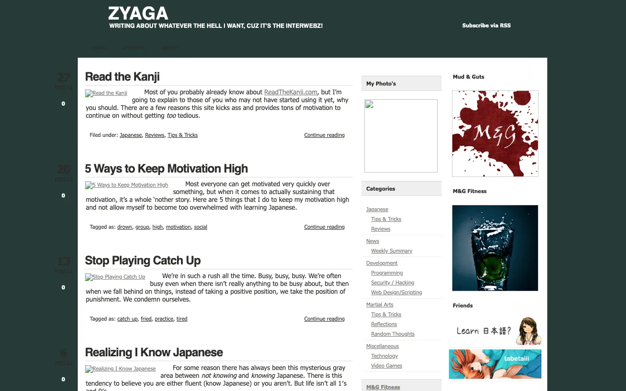 zyaga.com, before this one, 2011 – 2013: Cuz it's the Interwebz